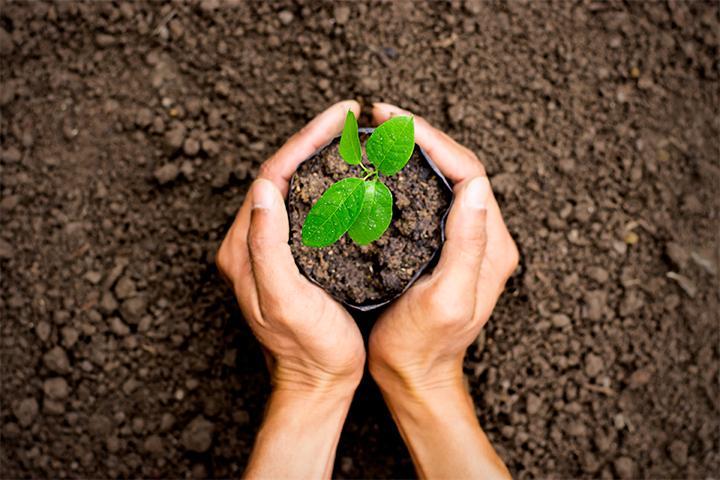 Organic Topsoil Suffolk County
