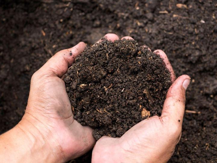 Organic Topsoil And Mulch Delivery Suffolk County