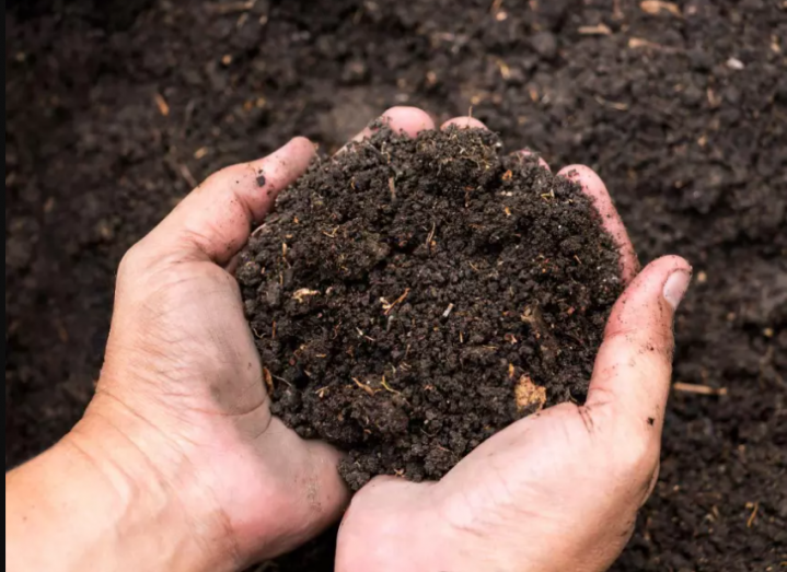 Organic Topsoil and Mulch, East Hampton<br/>Exceptional Organic Topsoil And Mulch East Hampton<br/>High-Quality Organic Topsoil And Mulch East Hampton