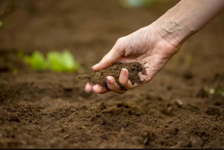 Organic Mulch, Huntington<br/>Affordable Organic Mulch Huntington<br/>Top-Notch Organic Mulch Huntington