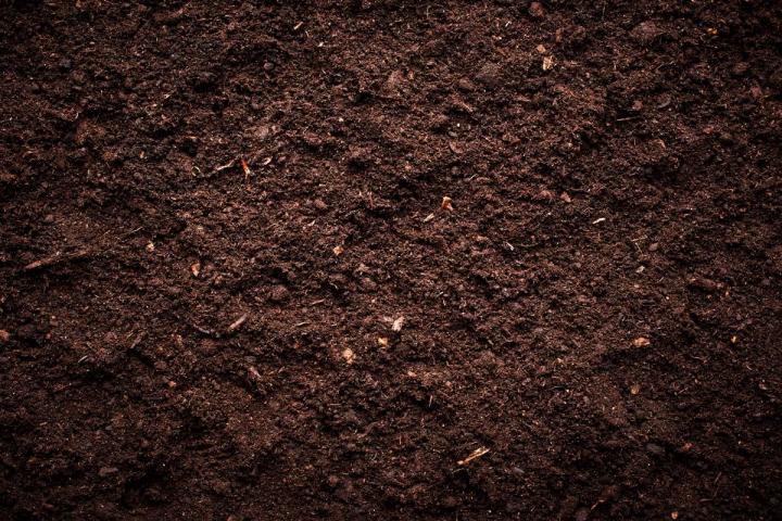 Natural Topsoil Suffolk County