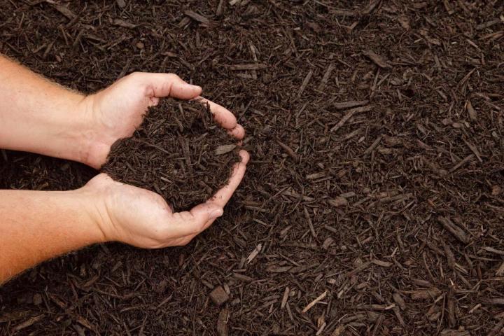 Organic Topsoil Suffolk County